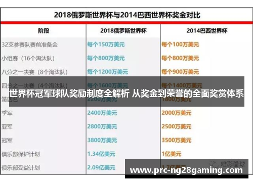 世界杯冠军球队奖励制度全解析 从奖金到荣誉的全面奖赏体系