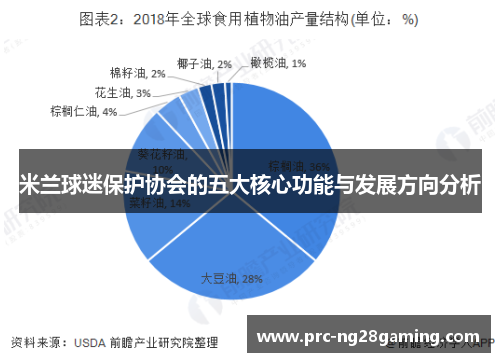 米兰球迷保护协会的五大核心功能与发展方向分析 米兰球迷保护协会的五大核心功能与发展方向分析