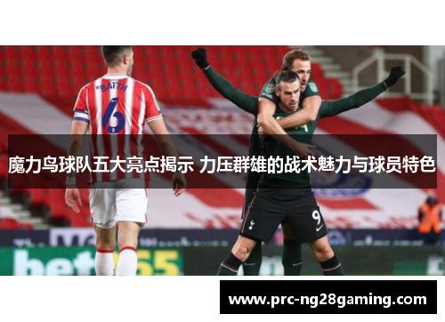 魔力鸟球队五大亮点揭示 力压群雄的战术魅力与球员特色 魔力鸟球队五大亮点揭示 力压群雄的战术魅力与球员特色