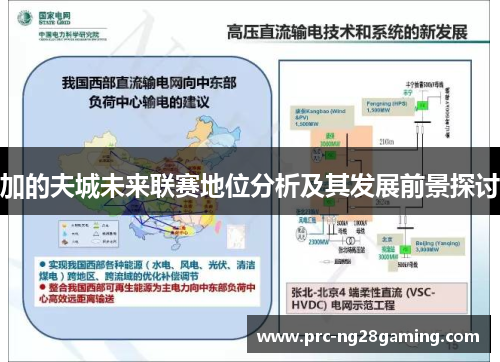 加的夫城未来联赛地位分析及其发展前景探讨
