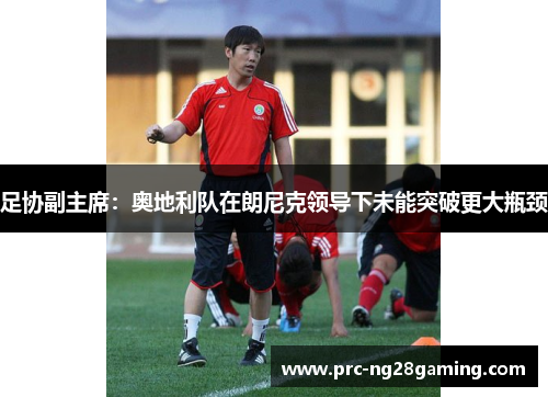 足协副主席:奥地利队在朗尼克领导下未能突破更大瓶颈 足协副主席:奥地利队在朗尼克领导下未能突破更大瓶颈